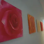 Domus Salamanca. Melchor Cano. Centro. 4