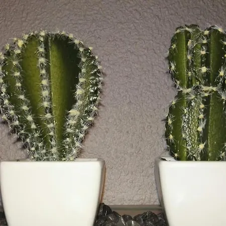 Domus Salamanca. Melchor Cano. Centro. 4 * Salamanca