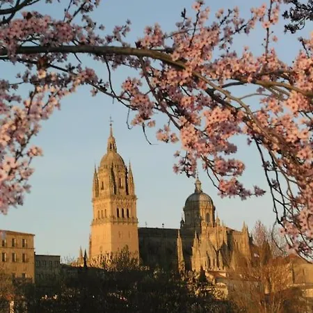 Domus Salamanca. Melchor Cano. Centro. 4