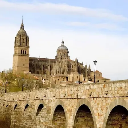 Domus Salamanca. Melchor Cano. Centro. 4
