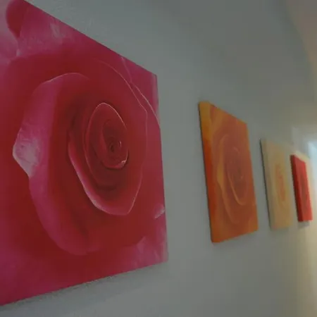 Domus Salamanca. Melchor Cano. Centro. 4