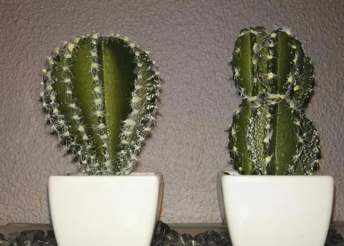 Domus Salamanca. Melchor Cano. Centro. 4 * Salamanka