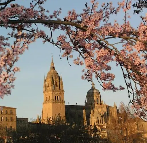 Domus Salamanca. Melchor Cano. Centro. 4