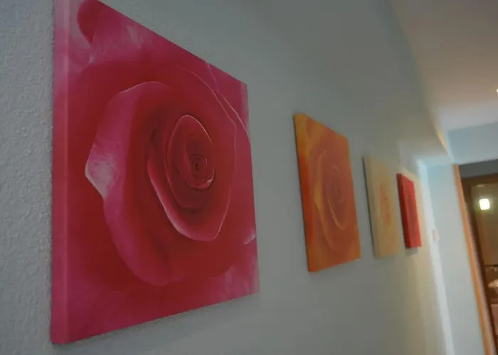 Domus Salamanca. Melchor Cano. Centro. 4