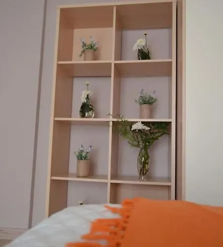 Domus Salamanca. Melchor Cano. Centro. 4 Appartamento